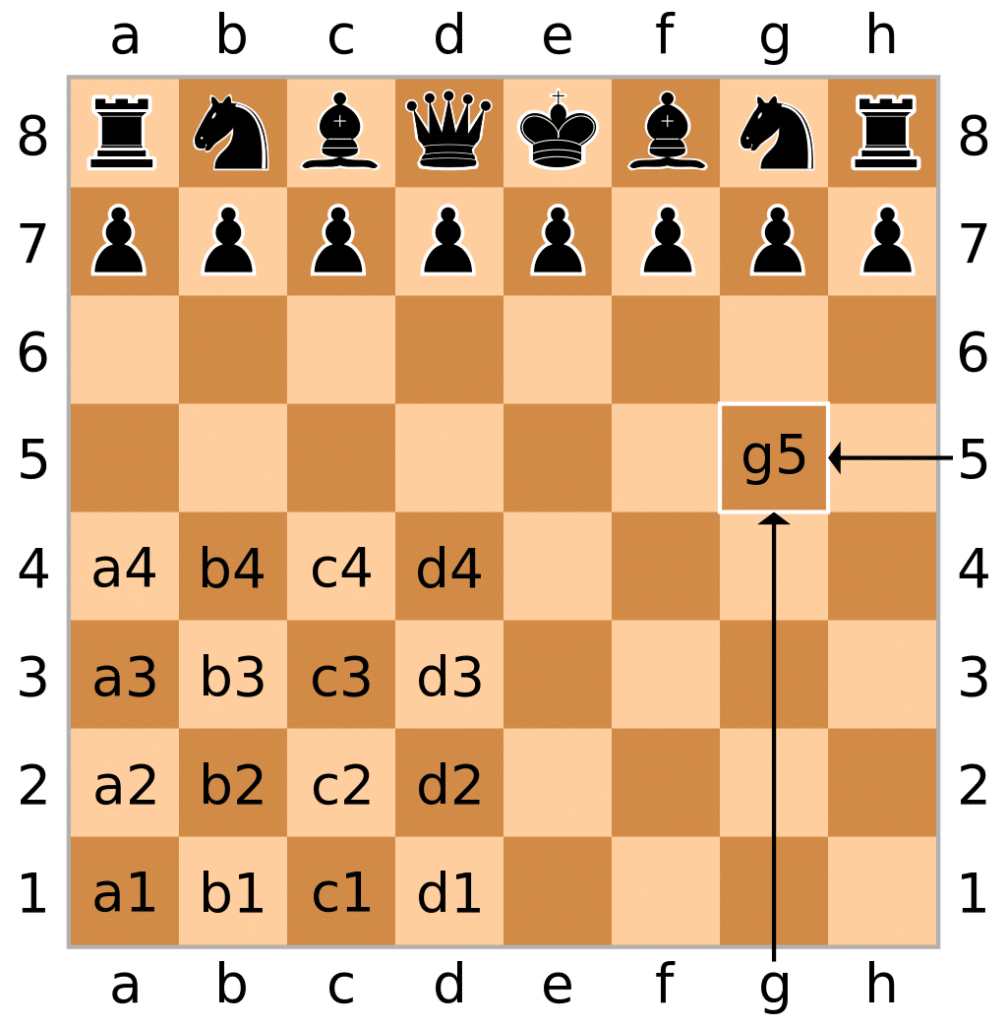 Fundamentals of chess notation